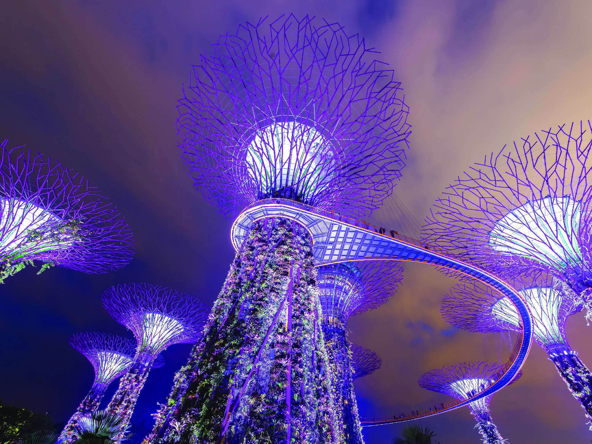 Gardens by the Bay